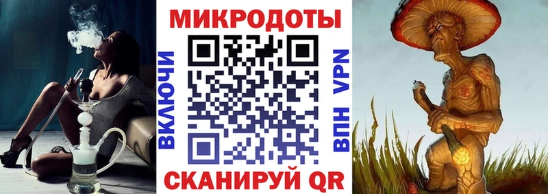 блэк спрут Прокопьевск Псилоцибиновые грибы Psilocybine cubensis